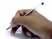 english essays